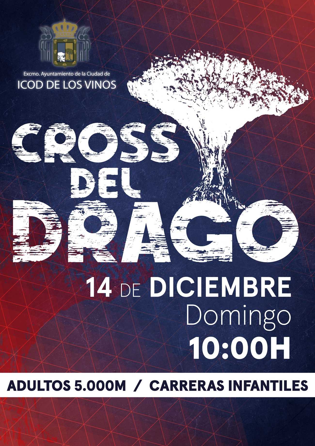 CROSS CIUDAD DEL DRAGO ICOD 2025 - Inscríbete
